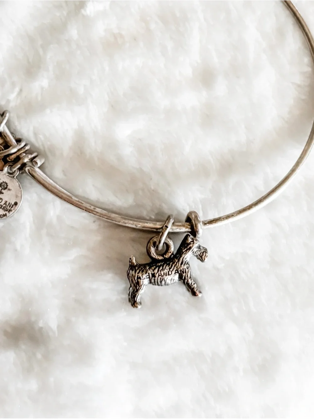 RARE! RETIRED! Alex and Ani Monopoly Dog Charm Bangle Bracelet - Silver